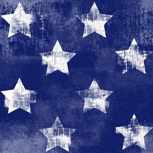 Double Brushed Poly Fabric | Ultra-Soft & Stretchy Knit | patriotic distressed stars
